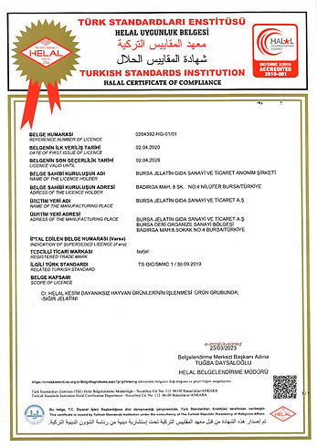 Smart Survagen Capsules – Citicoline & Norwegian Fish Oil for Kids & Adults – 1000 mg, 30 Softgels